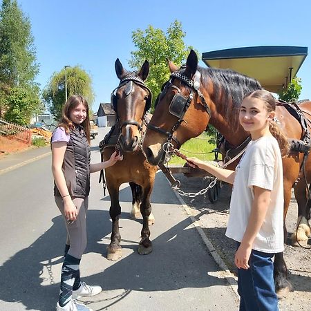 Glamping-Paradies Am Dengler Hof Hohenberg an der Eger Bagian luar foto