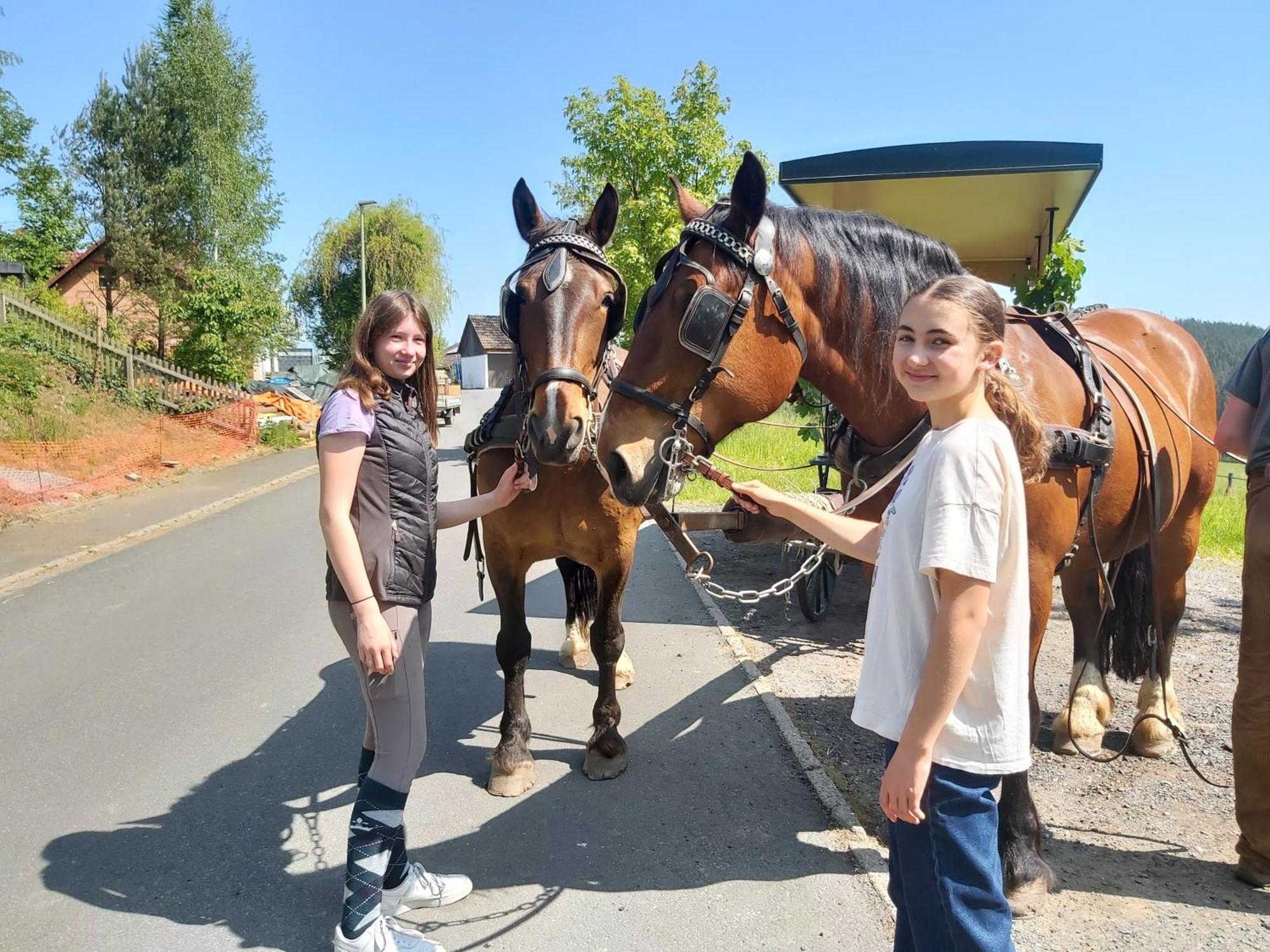 Glamping-Paradies Am Dengler Hof Hohenberg an der Eger Bagian luar foto